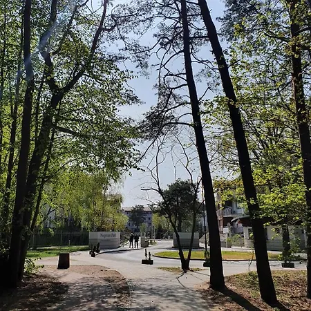 Comfy - Wypoczynkowa Lux Apartament