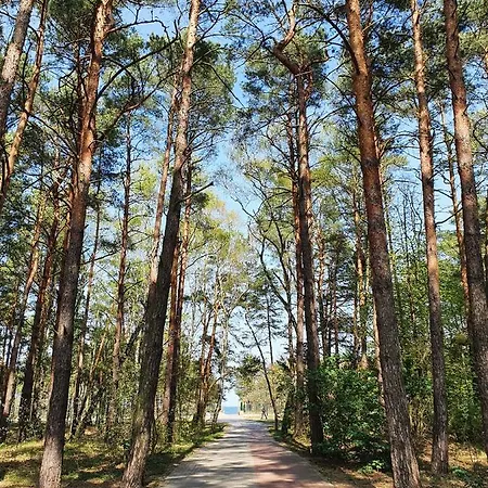 Comfy - Wypoczynkowa Lux