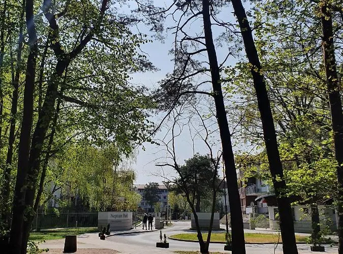 Comfy - Wypoczynkowa Lux Appartamento