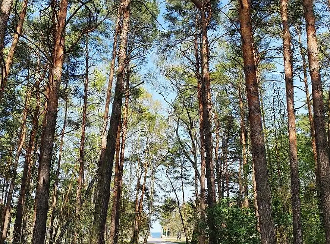 Comfy - Wypoczynkowa Lux